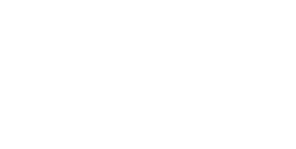 logo (1)